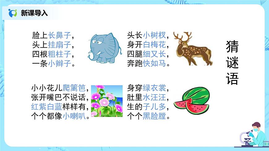7.2.1《基因控制生物的性狀 》課件第4頁