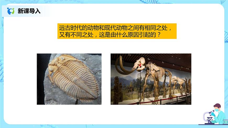 7.2.5《生物的變異》課件第2頁