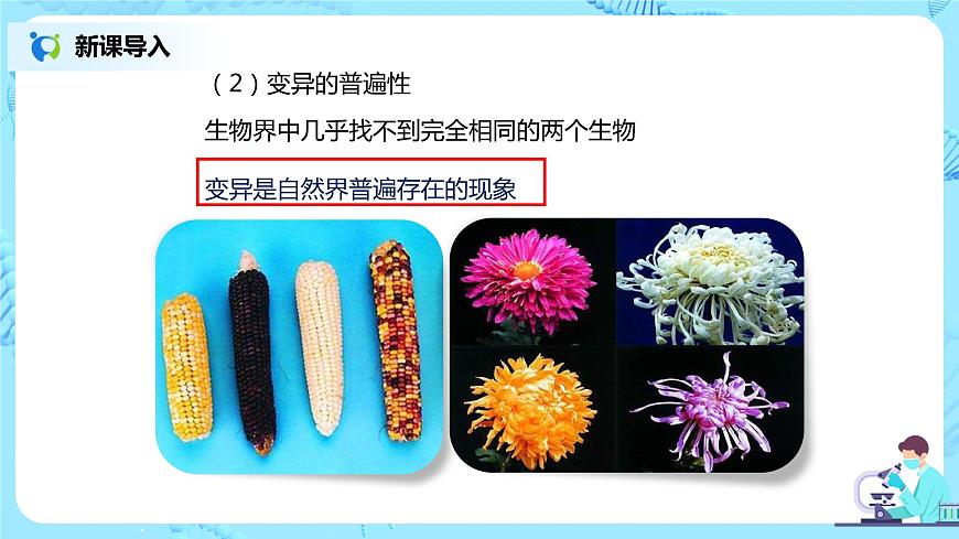 7.2.5《生物的變異》課件第4頁