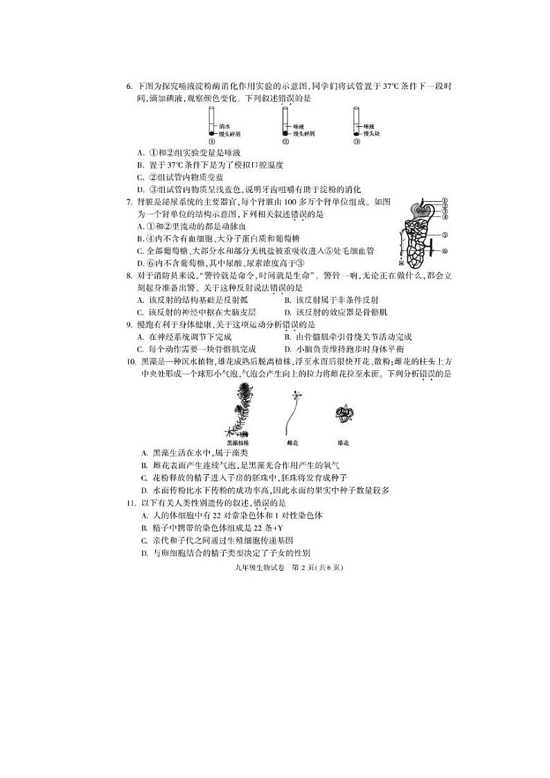 2020年北京市朝阳区初三二模生物试卷及答案第2页