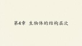 细胞分化形成组织PPT课件免费下载