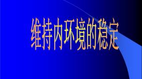 人体生命活动需要的环境条件PPT课件免费下载