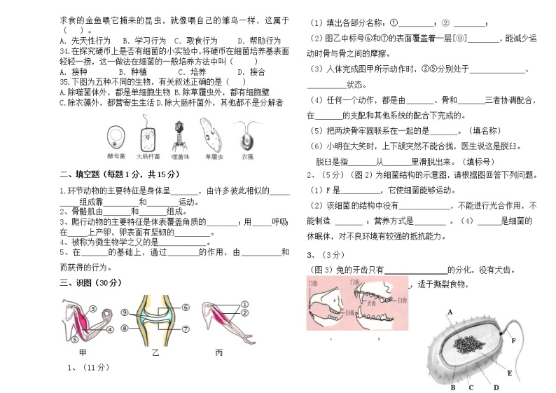 黑龙江省嘉荫县第三中学2021-2022学年八年级上学期期末考试生物试题（word版 含答案）03