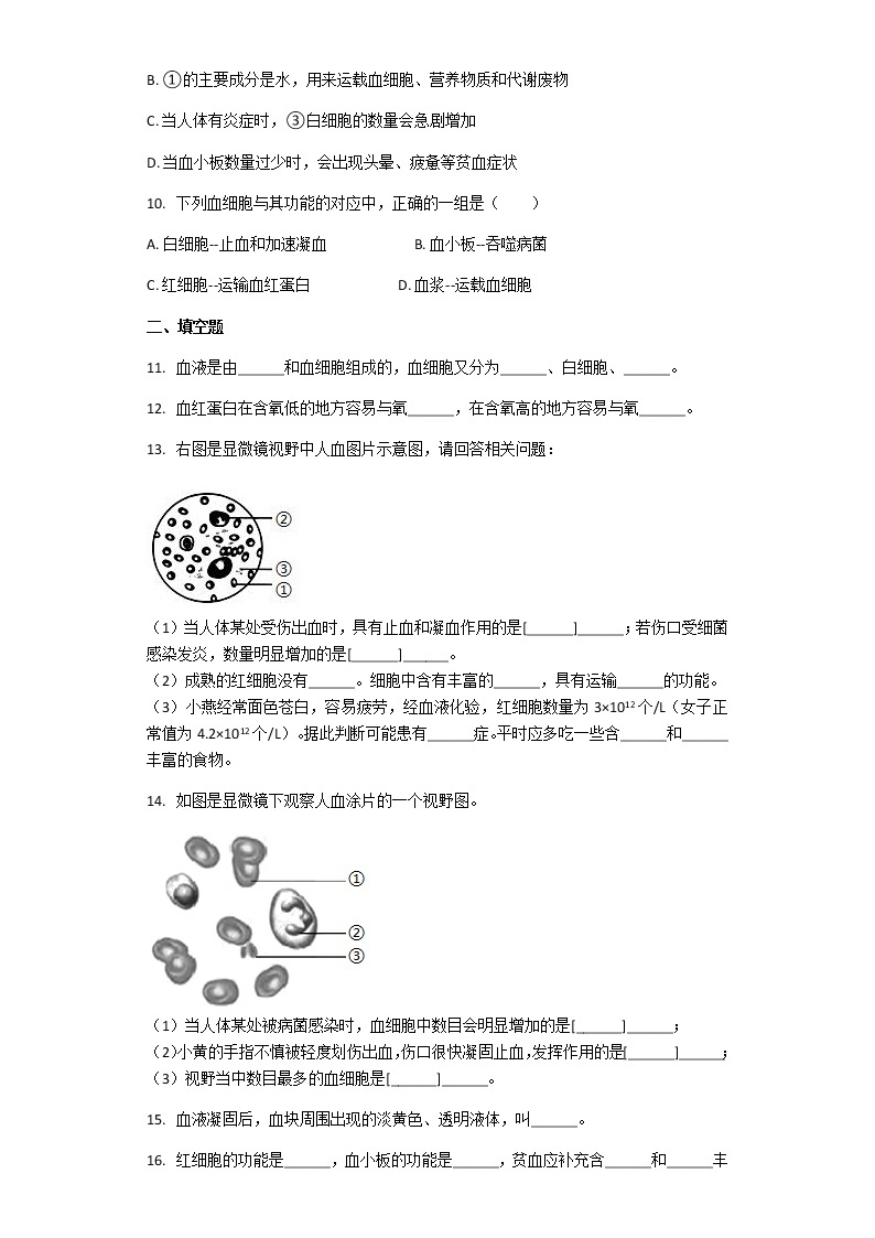 4.4.1 流动的组织——血液 课件+教案+练习  人教版七年级生物下册03