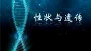 基因与人体性状PPT课件免费下载