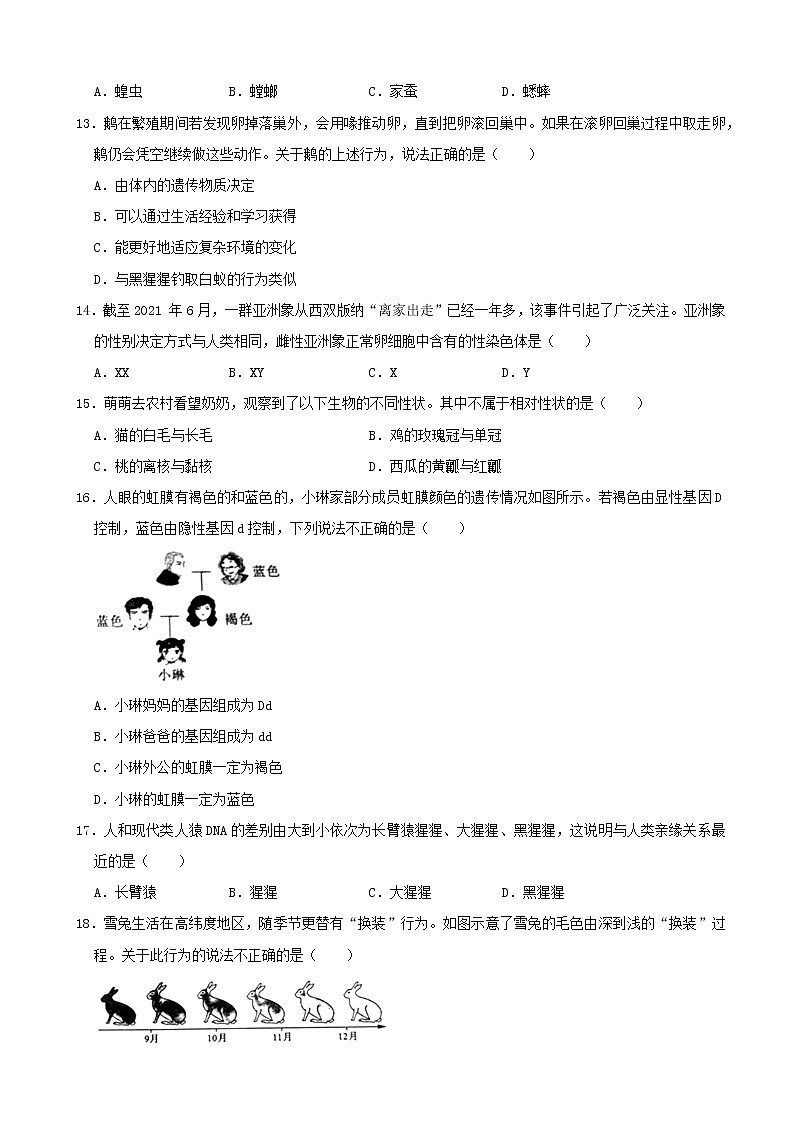 2021年河南省中考生物試卷（word，解析版）第3頁(yè)