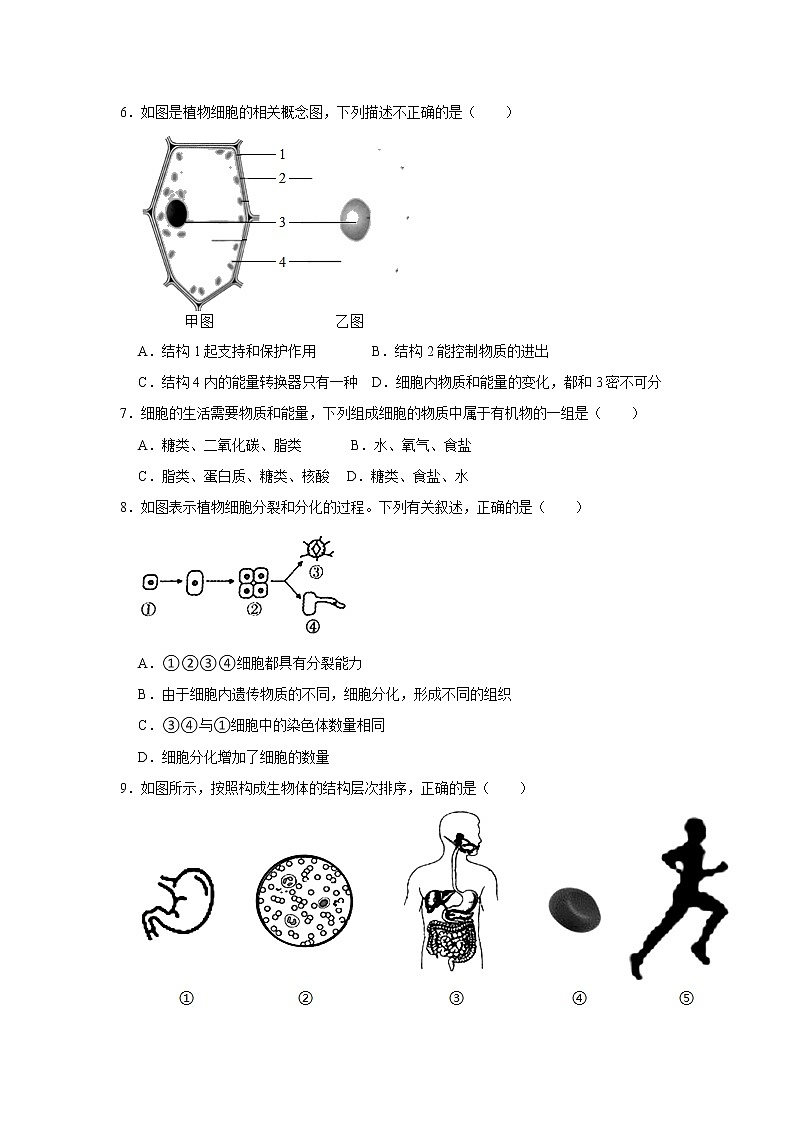 吉林省名校调研(省命题A)2021-2022学年上学期七年级期末生物试卷(word版 含答案)第2页