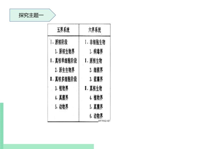 生物的分类单位PPT课件免费下载05