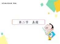 2.3.3 真菌  课件 初中生物济南版 七年级上册（2021年）