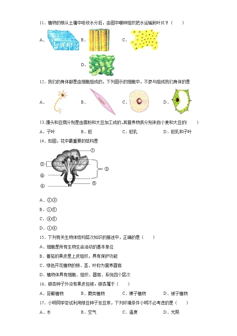 黑龙江省哈尔滨市五常市2021-2022学年七年级上学期期末生物试题（word版 含答案）02