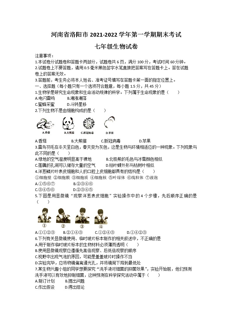 河南省洛阳市2021-2022学年七年级上学期期末考试生物试卷(word版 含答案)第1页