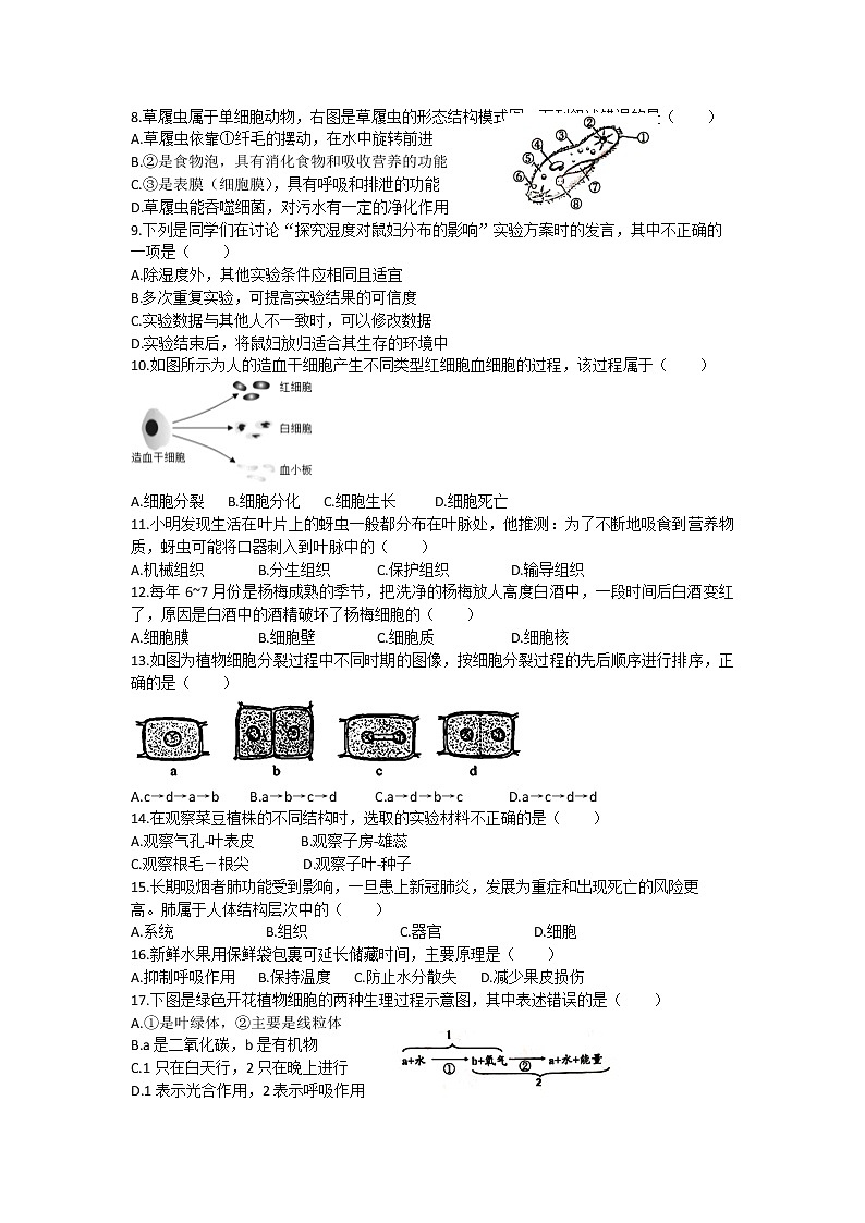 河南省洛阳市2021-2022学年七年级上学期期末考试生物试卷(word版 含答案)第2页