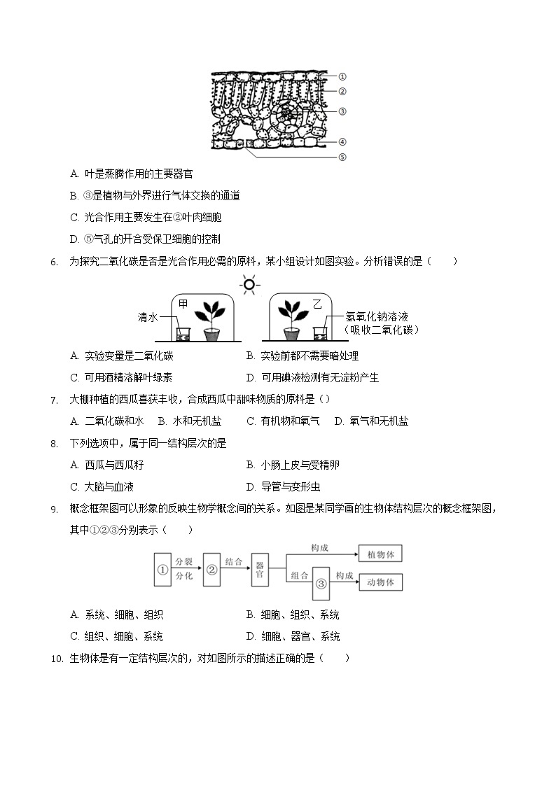 安徽省定远县九梓学校2021-2022学年上学期七年级生物期末模拟考试卷（word版 含答案）02