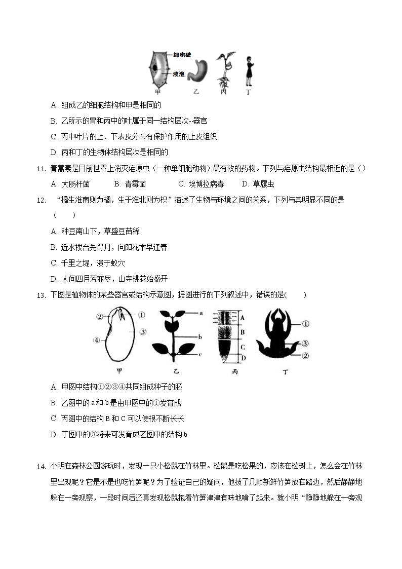 安徽省定远县九梓学校2021-2022学年上学期七年级生物期末模拟考试卷（word版 含答案）03