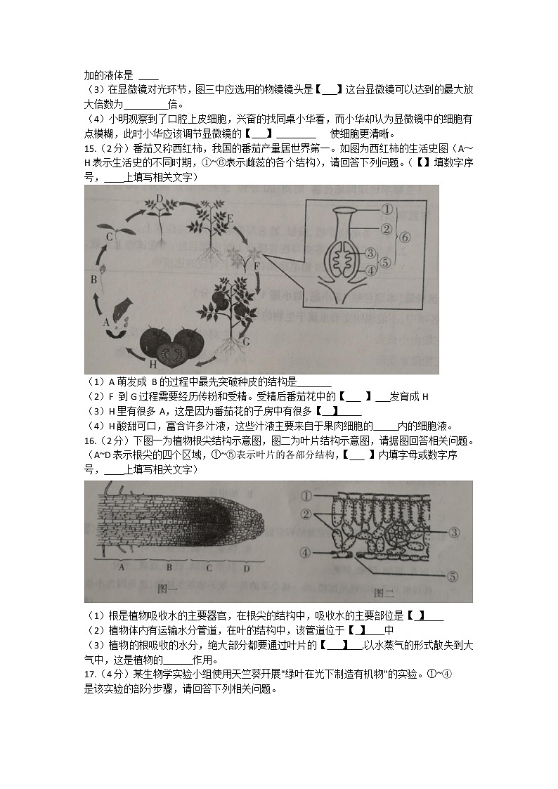 辽宁省沈阳市苏家屯区2021-2022学年七年级上学期期末学情调研生物试题(word版 含答案)03