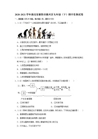 2020-2021学年湖北省襄阳市襄州区七年级（下）期中生物试卷（含答案）