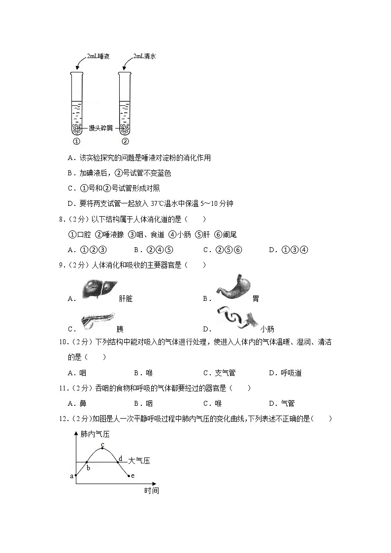 2020-2021学年湖南省张家界市永定区七年级(下)期末生物试卷(含答案)第2页