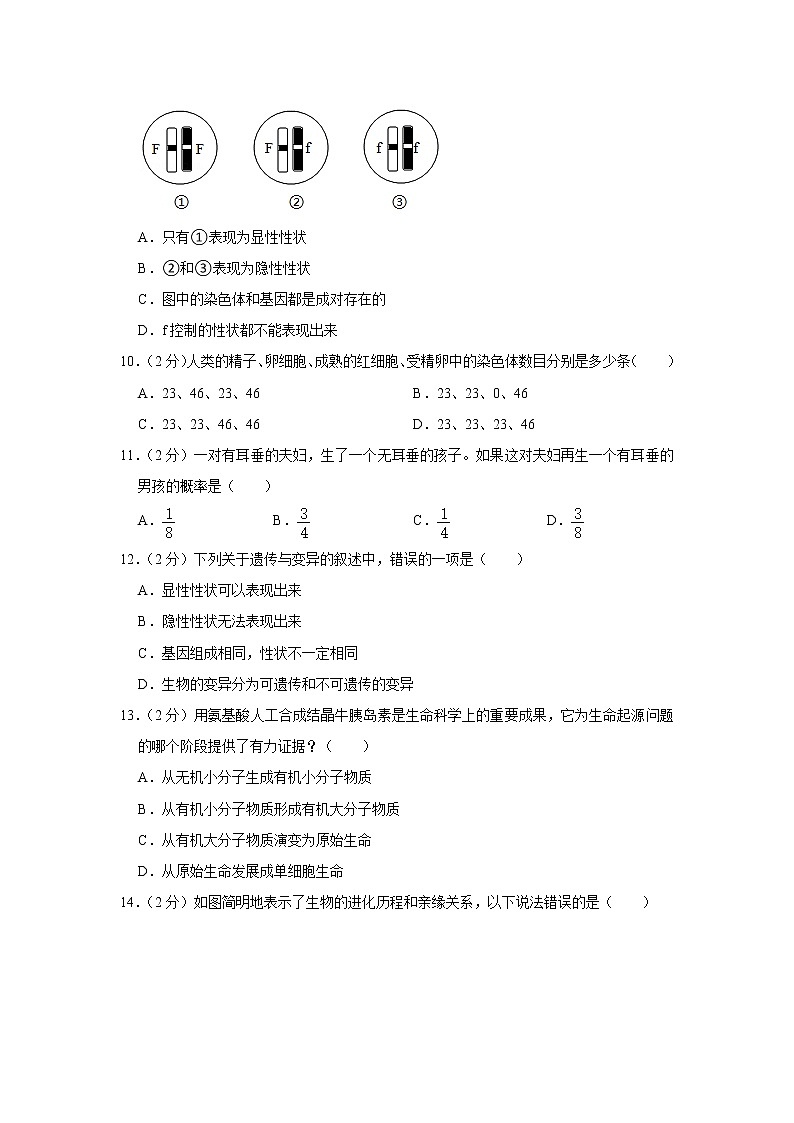 2020-2021学年河南省南阳市西峡县八年级(下)期末生物试卷(含答案)第3页