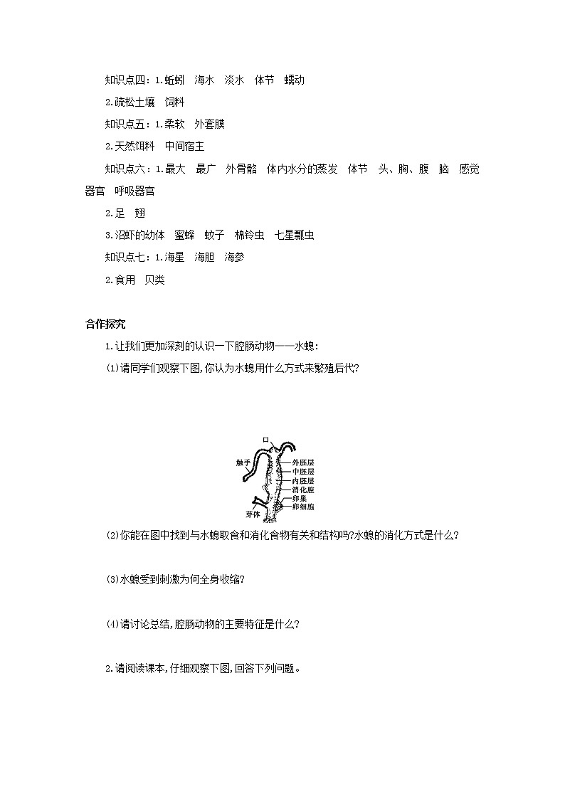 北师大八下生物 第22章 第4节 动物的主要类群 学案03