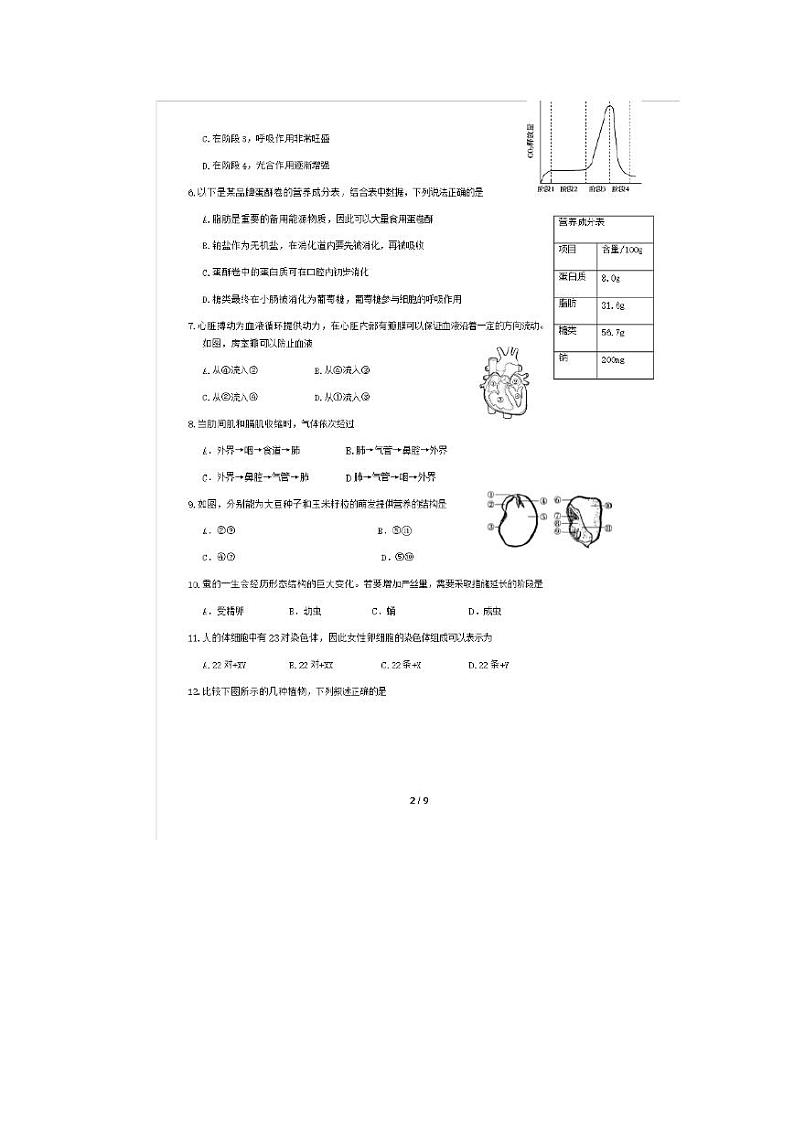 2020北京市朝阳区初三一模生物试卷及答案第2页