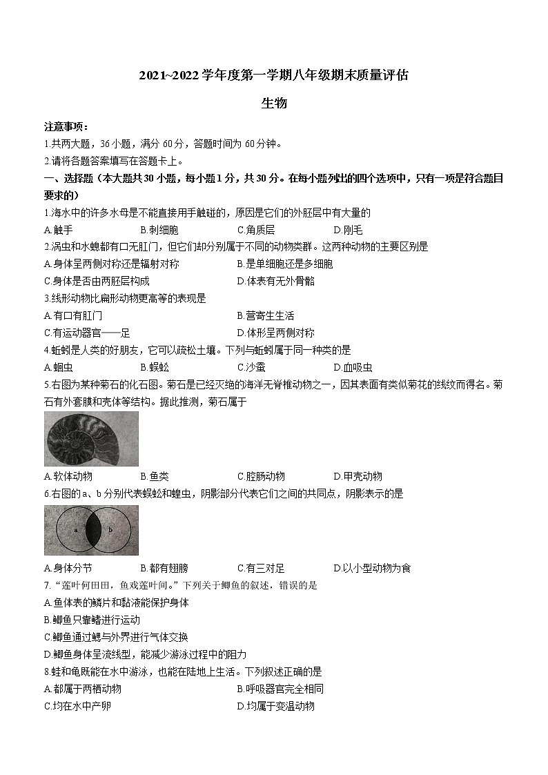 陕西省安康市岚皋县2021-2022学年八年级上学期期末生物试题(word版 含答案)第1页