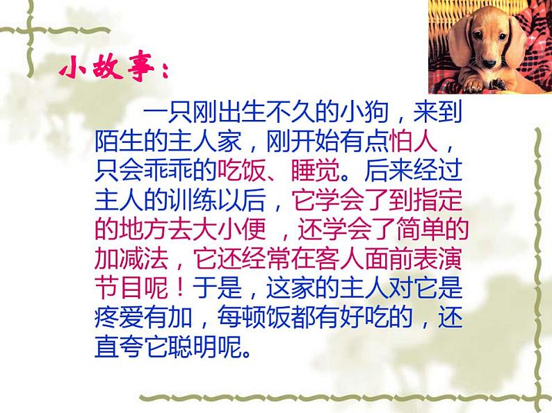 新人教版八年级生物上册第二章《先天性行为和学习行为》课件(37张ppt)第1页