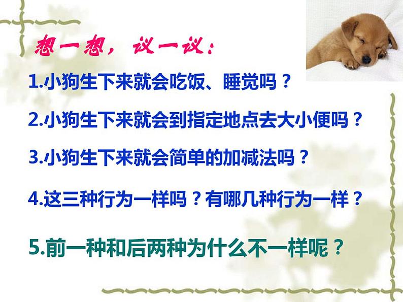 新人教版八年级生物上册第二章《先天性行为和学习行为》课件(37张ppt)第2页