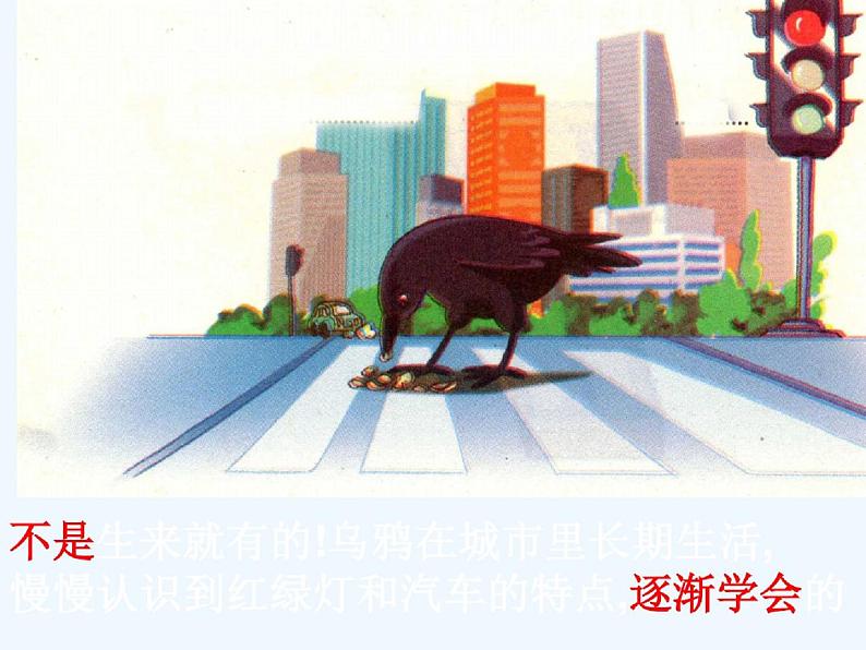 生物人教版八年级上册先天性行为和学习行为ppt第2页