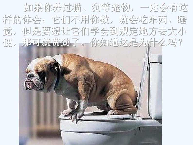 生物人教版八年级上册先天性行为和学习行为ppt第3页