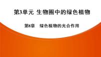 2021年中考廣東專用生物一輪知識點(diǎn)復(fù)習(xí)第3單元 第8章　綠色植物的光合作用  課件