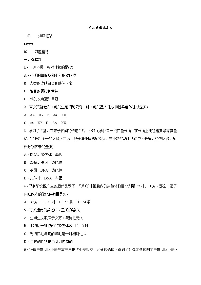 7.2生物的遗传与变异 章末复习 检测（知识点+基础+能力提升）2021-2022学年人教版八年级生物下册学案01