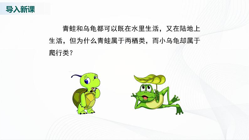北师大版生物八下22.4《动物的主要类群》课件+教案+学案(一、二课时)02