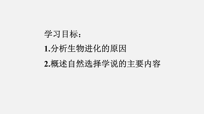 生物进化的原因PPT课件免费下载02