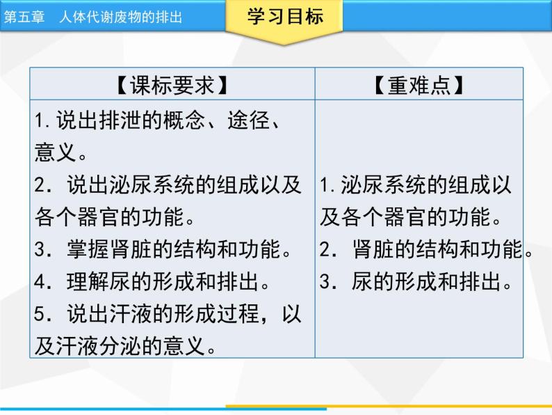 人体内废物的排出PPT课件免费下载02