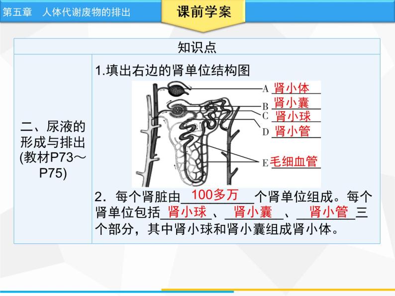 人体内废物的排出PPT课件免费下载05