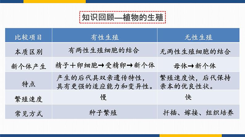 7.1.2 昆虫的生殖和发育 2021-2022学年八年级生物下学期同步精品课件第1页