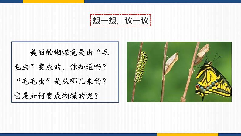 7.1.2 昆虫的生殖和发育 2021-2022学年八年级生物下学期同步精品课件第4页