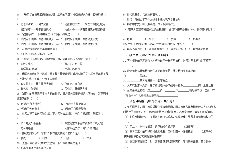 鲁教版七年级生物上册期末试卷（精选）02