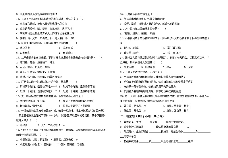 鲁教版七年级生物上册期中试卷(完整版)第2页