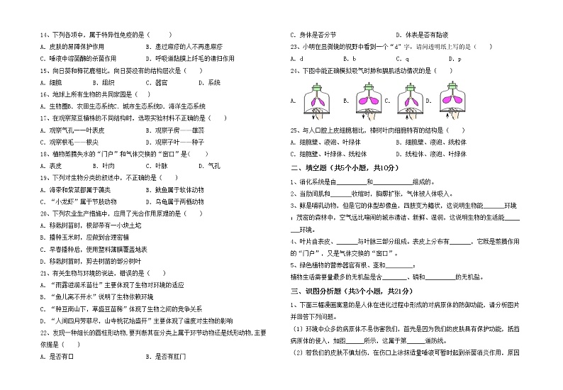 鲁教版七年级生物上册月考测试卷(可打印)02