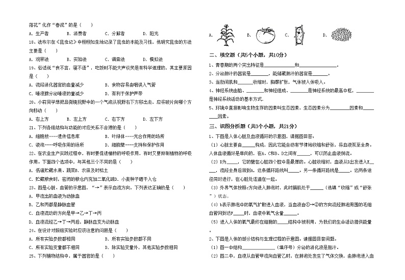 鲁教版七年级生物上册月考测试卷及答案【完整版】第2页