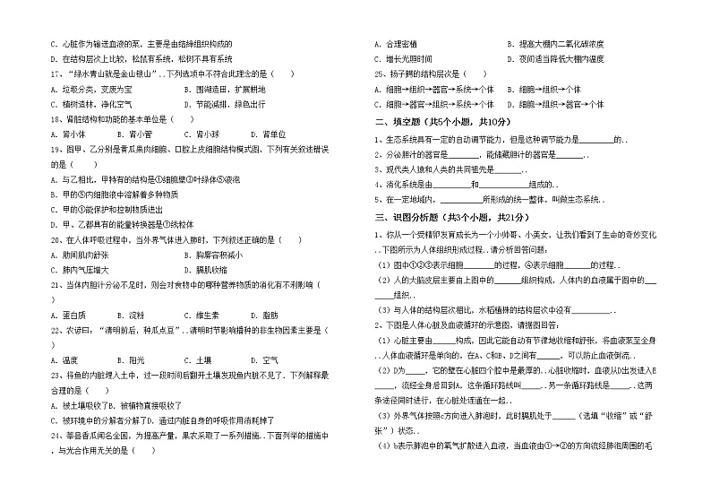 鲁教版七年级生物上册月考考试及答案免费练习题第2页