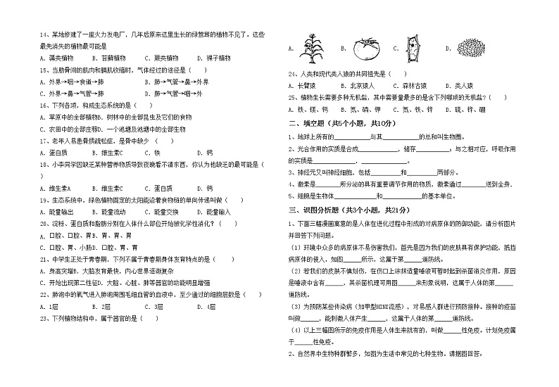 鲁教版七年级生物上册月考考试卷【附答案】第2页