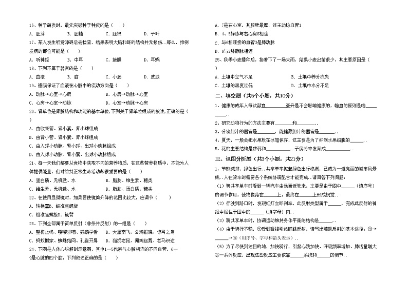 鲁教版七年级生物上册月考考试卷(精选)第2页