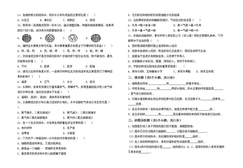 鲁教版七年级生物上册月考考试卷(完整版)第2页