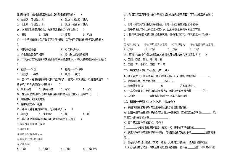 鲁教版七年级生物上册月考模拟考试及答案1套练习题第2页