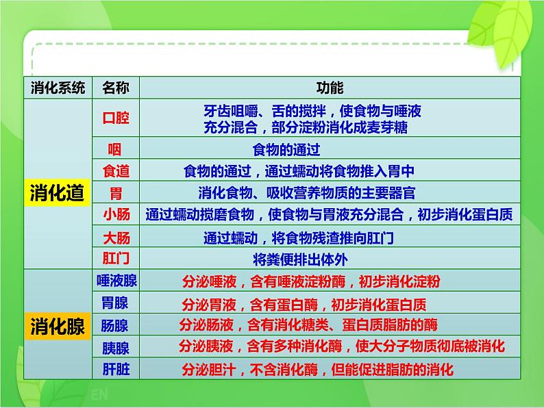 4.2.2消化和吸收(课件)-2021-2022学年七年级生物下册课件(人教版)第5页