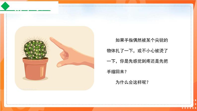 4.6.3神经调节的基本方式-2021-2022学年七年级生物下学期同步课件(人教版)第2页
