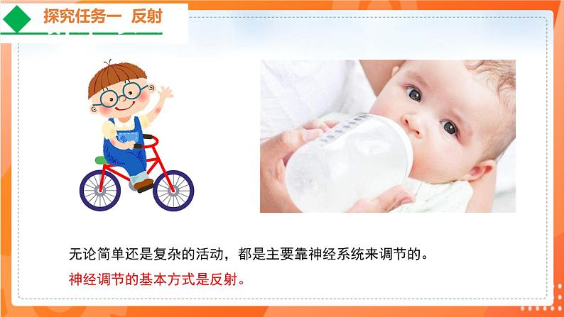 4.6.3神经调节的基本方式-2021-2022学年七年级生物下学期同步课件(人教版)第4页