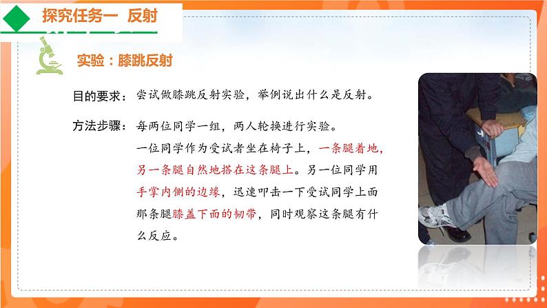4.6.3神经调节的基本方式-2021-2022学年七年级生物下学期同步课件(人教版)第5页